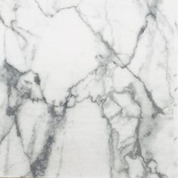 מפיות גדולות שיש כסף