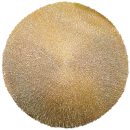 פלייסמנט לעיצוב שולחן עיטורים - זהב