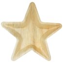 מגשי כוכב מתכלים