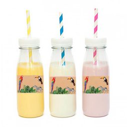 מדבקות מלבניות לעיצוב ספארי קראפט