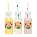 מדבקות עגולות לעיצוב ספארי קראפט