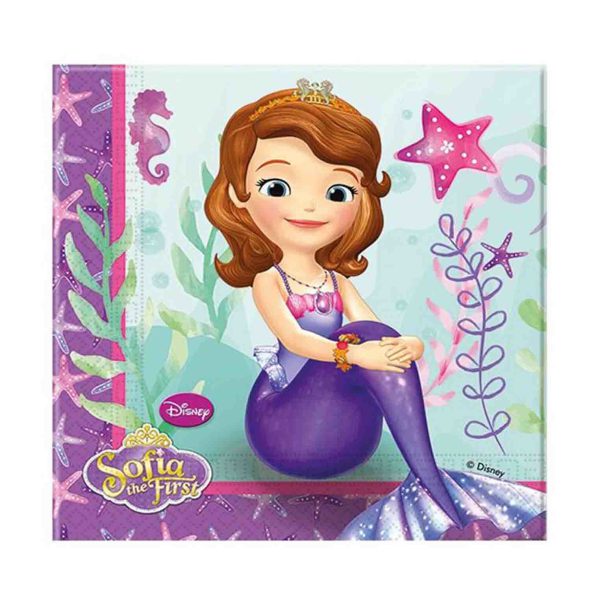 חבילת יום הולדת הנסיכה סופיה 8 מוזמנים