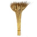 זר שיבולים גדול