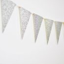 חבילת יום הולדת פרוזן 16 מוזמנים