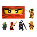 תמונה אכילה דמויות נינג'גו לעוגה 2