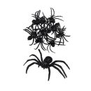 עכבישים לקישוט