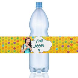 מדבקות לבקבוקים מסיבת מיקי
