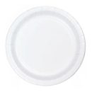 צלחות קלאסיק מתכלות בינוני 25 יח'