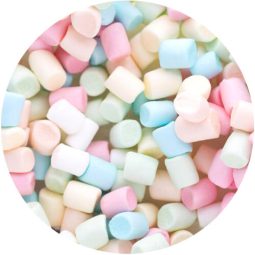 מיני מרשמלו צבעי פסטל 400 ג'