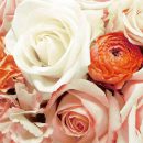 מפיות גדולות שושנים