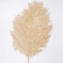 פלייסמנט לעיצוב שולחן עלה שלכת זהב