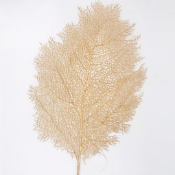 פלייסמנט לעיצוב שולחן עלה שלכת זהב