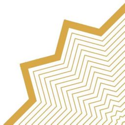 מפיות עגולות פסים זהב