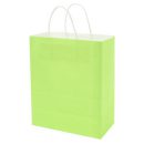 שקית נייר ירוקה עם ידית - גדול