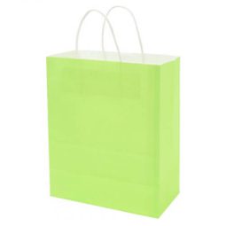 שקית נייר ירוקה עם ידית - גדול