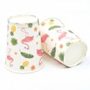 חבילת יום הולדת פלמינגו 8 מוזמנים