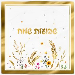 מפיות גדולות שבועות שמח