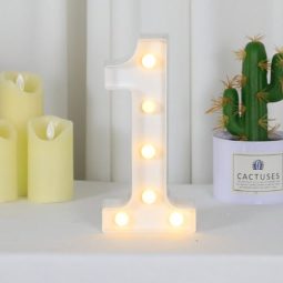 ספרה 1 אורות לד