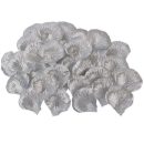 עלי כותרת - כסף