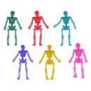 שלד נמתח - מגוון