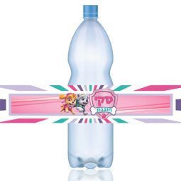 מדבקות לבקבוקים מפרץ ההרפתקאות - בנות