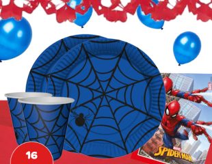 אביזרי מסיבה